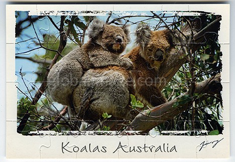 Koalas Australia Jigsaw-Card.  This Koala has a Baby on her back.